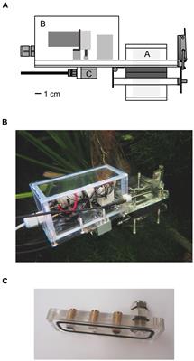 Portable Measurement System for in situ Estimation of Oxygen and Carbon Fluxes of Submerged Plants